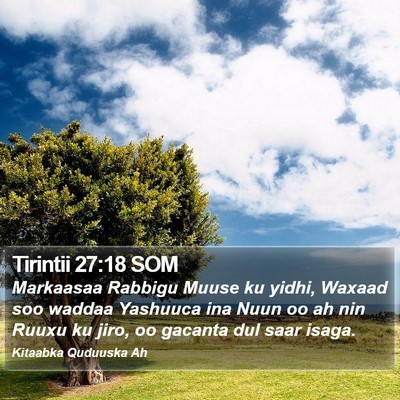 Tirintii 27:18 SOM Bible Verse Image