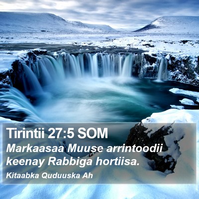 Tirintii 27:5 SOM Bible Verse Image