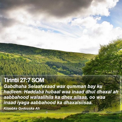 Tirintii 27:7 SOM Bible Verse Image