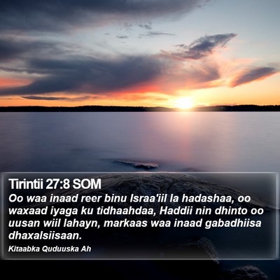 Tirintii 27:8 SOM Bible Verse Image
