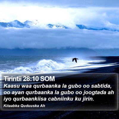 Tirintii 28:10 SOM Bible Verse Image