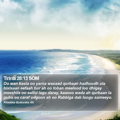 Tirintii 28:13 SOM Bible Verse Image