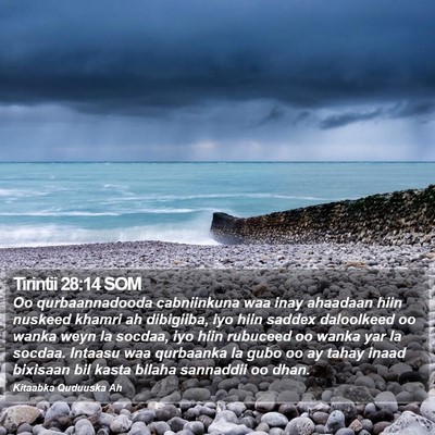 Tirintii 28:14 SOM Bible Verse Image