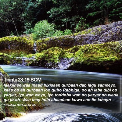 Tirintii 28:19 SOM Bible Verse Image