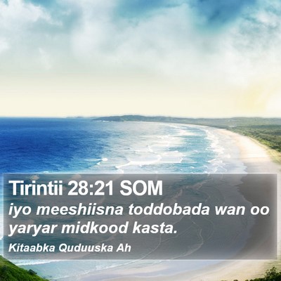 Tirintii 28:21 SOM Bible Verse Image