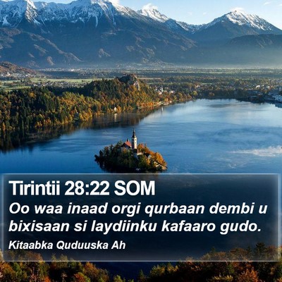 Tirintii 28:22 SOM Bible Verse Image