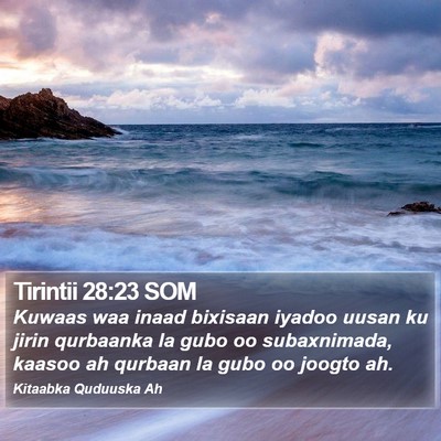 Tirintii 28:23 SOM Bible Verse Image
