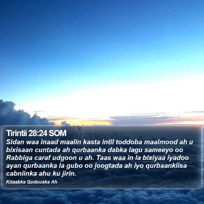 Tirintii 28:24 SOM Bible Verse Image