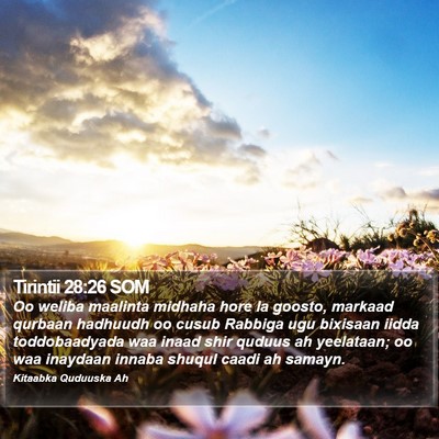 Tirintii 28:26 SOM Bible Verse Image