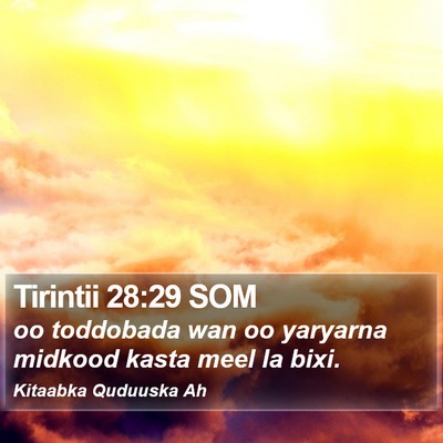 Tirintii 28:29 SOM Bible Verse Image