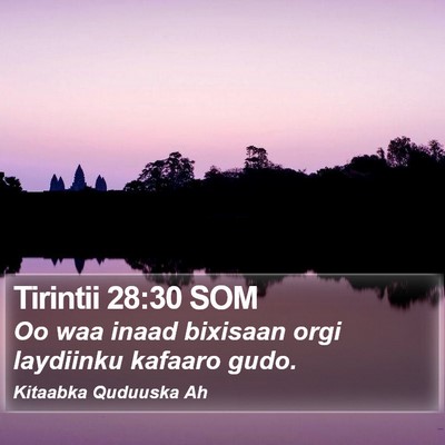 Tirintii 28:30 SOM Bible Verse Image