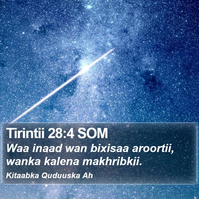 Tirintii 28:4 SOM Bible Verse Image