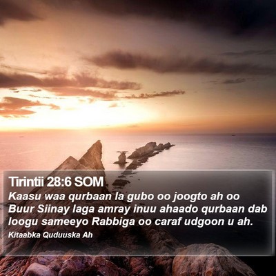 Tirintii 28:6 SOM Bible Verse Image