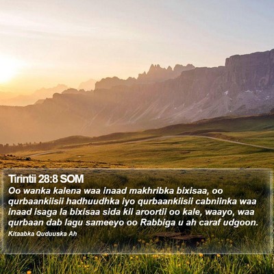 Tirintii 28:8 SOM Bible Verse Image