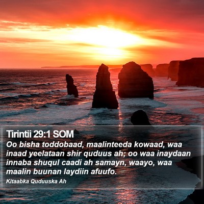 Tirintii 29:1 SOM Bible Verse Image