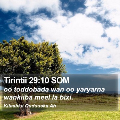 Tirintii 29:10 SOM Bible Verse Image