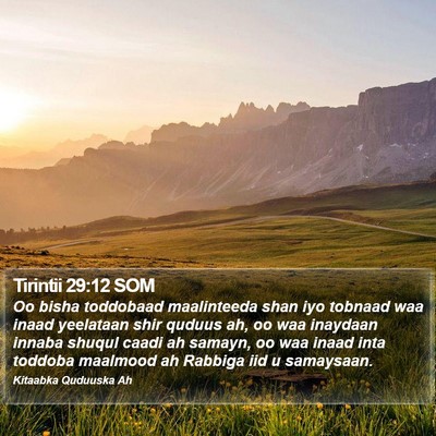 Tirintii 29:12 SOM Bible Verse Image