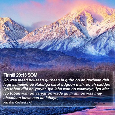 Tirintii 29:13 SOM Bible Verse Image