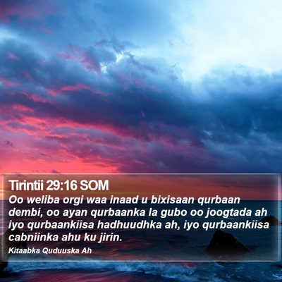 Tirintii 29:16 SOM Bible Verse Image