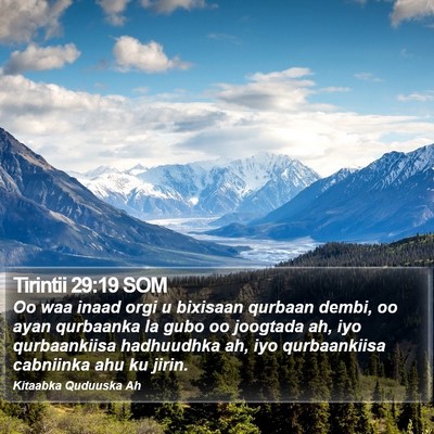 Tirintii 29:19 SOM Bible Verse Image