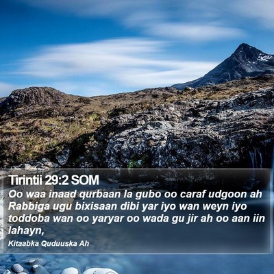 Tirintii 29:2 SOM Bible Verse Image