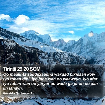Tirintii 29:20 SOM Bible Verse Image