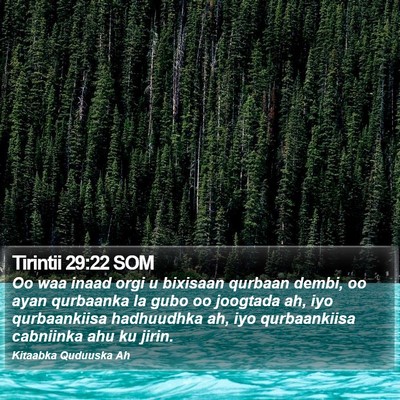 Tirintii 29:22 SOM Bible Verse Image