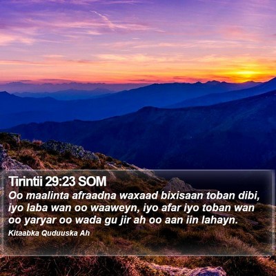 Tirintii 29:23 SOM Bible Verse Image