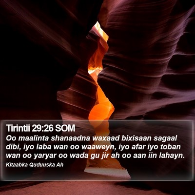 Tirintii 29:26 SOM Bible Verse Image