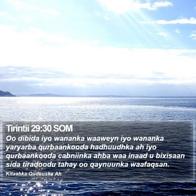 Tirintii 29:30 SOM Bible Verse Image