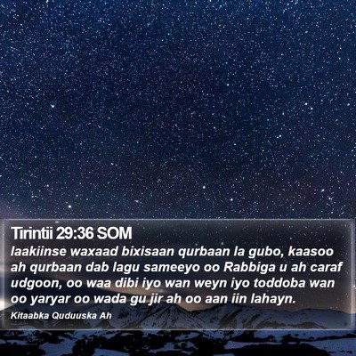 Tirintii 29:36 SOM Bible Verse Image