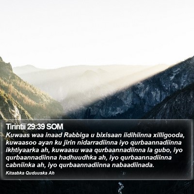 Tirintii 29:39 SOM Bible Verse Image