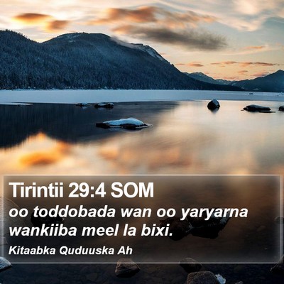 Tirintii 29:4 SOM Bible Verse Image