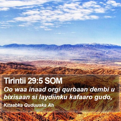 Tirintii 29:5 SOM Bible Verse Image