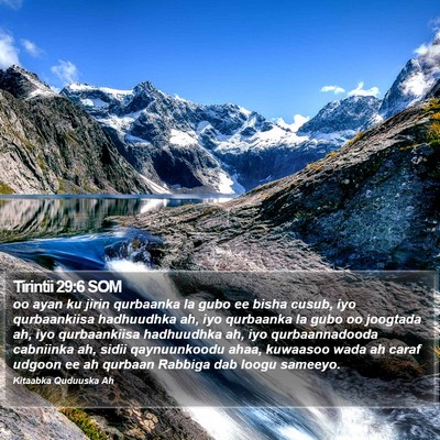 Tirintii 29:6 SOM Bible Verse Image