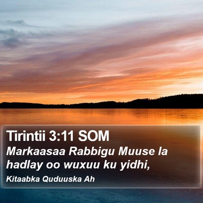 Tirintii 3:11 SOM Bible Verse Image