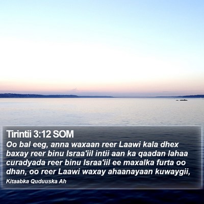 Tirintii 3:12 SOM Bible Verse Image