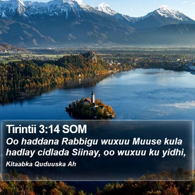 Tirintii 3:14 SOM Bible Verse Image