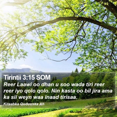 Tirintii 3:15 SOM Bible Verse Image