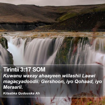 Tirintii 3:17 SOM Bible Verse Image