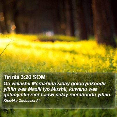 Tirintii 3:20 SOM Bible Verse Image