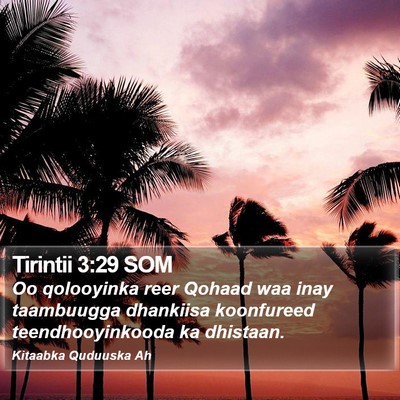 Tirintii 3:29 SOM Bible Verse Image