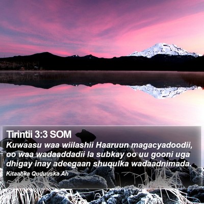 Tirintii 3:3 SOM Bible Verse Image