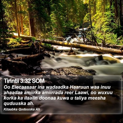 Tirintii 3:32 SOM Bible Verse Image