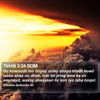 Tirintii 3:34 SOM Bible Verse Image