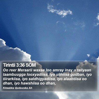 Tirintii 3:36 SOM Bible Verse Image