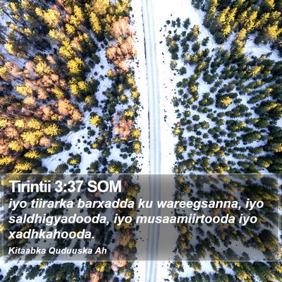 Tirintii 3:37 SOM Bible Verse Image