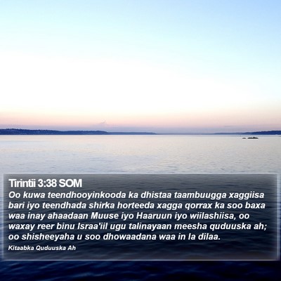 Tirintii 3:38 SOM Bible Verse Image