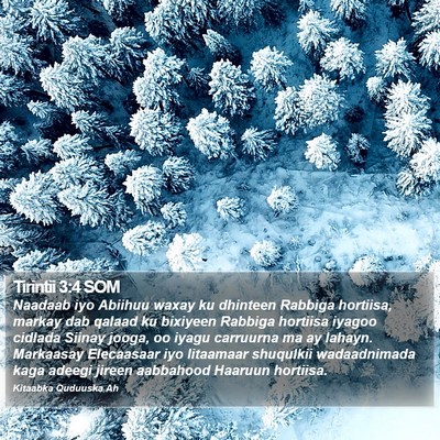 Tirintii 3:4 SOM Bible Verse Image