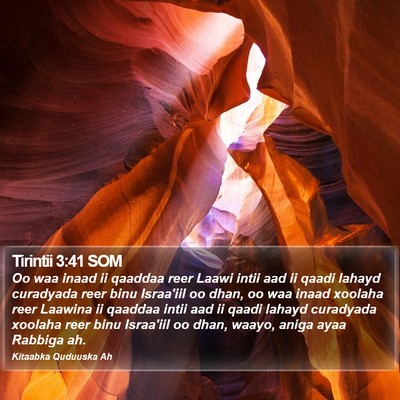 Tirintii 3:41 SOM Bible Verse Image